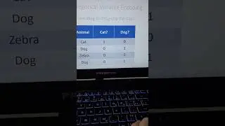 One Hot Encoding for Machine Learning & Statistics | Nominal & Categorical Encoding 