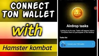 Hamster Kombat Ton Wallet Connect kaise kare | Hamster Kombat Connect To Ton wallet | Hamster kombat