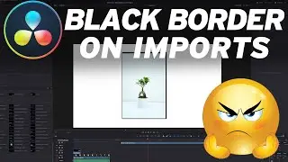 Davinci Resolve - Fix BLACK BORDERS Around Imported Images