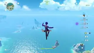 Genshin Impact-Random Flying Bug