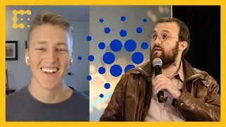 Why Is Cardano's Token Price on a Recent Bull Run?