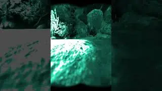 Well I got Trolled by Mutants in Stalker Gamma 