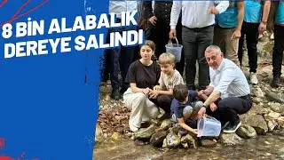 8 BİN ALABALIK DEREYE SALINDI