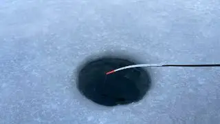 ЛУПИТ под ЛУНКОЙ ! НЕ ДАЁТ ОПУСТИТЬ МОРМЫШКУ !
