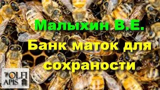 #Малыхин