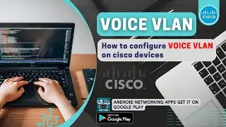 Configure Voice VLAN on Cisco Devices | Network Handbook