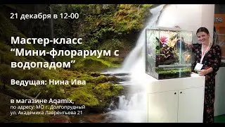 Мастер класс Флорариум с водопадом. Автор и ведущая Нина Ива