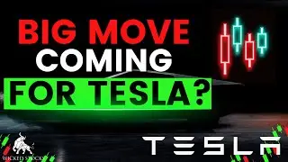 Tesla Stock Price Analysis | Top Levels To Watch for Wednesday, July 24th 2024