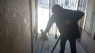 Бугай Алабай. Каждый день чистота.