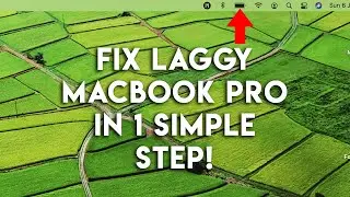 How to Improve Performance of Laggy Macbook Pro running on Catalina/BigSur in 1 SIMPLE STEP!