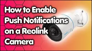 How to Enable Push Notifications on a Reolink Camera Using the Phone App