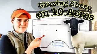 PASTURE Plan for 10 Acres | Rotational Grazing Cattle on Small Acreage SHEEP FARMING