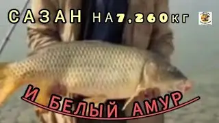 ОХОТА НА КРУПНОГО ТРОФЕЯ УДАЛОСЬ НА УРА #видеорыбалка