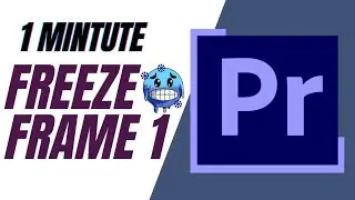 How to Freeze Frame in Adobe Premiere Pro CC| Part 1 