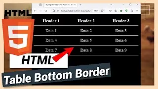 How to Add Bottom Border to Table Row | HTML and CSS Tutorial