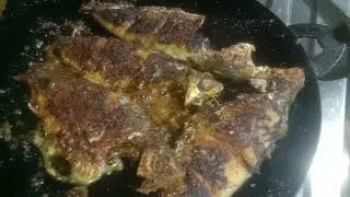 Frying Fish The Right Way#fried catfish#shorts#yummy fish fry#Pan fried fish#crispy catfish