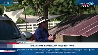 📌 Креатив от Вьетнамских фермеров, разноцветные рисунки на рисовом поле