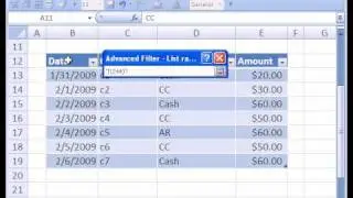 Excel Magic Trick #244: Advanced Filter Extract To New Sheet (Word Criteria)