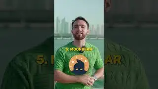 ТОП 5 МОНЕТ НА 2024г. КУПИ ИХ