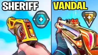 Platinum Sheriffs VS Bronze Vandals! - Who Wins?