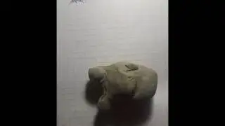 Нow to mold a tiger from plasticine.Как слепить голову тигра из пластилина.