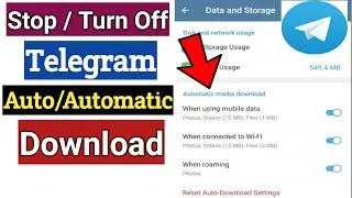 How To Stop Telegram Automatic Download on Android Phone