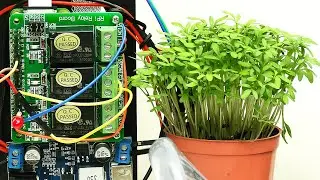 Raspberry Pi Plant Watering (& Time Lapse)