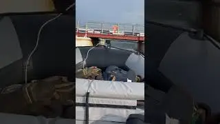 Проход под понтонным мостом.