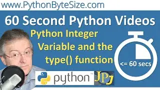 Python Integer Variable and the type function