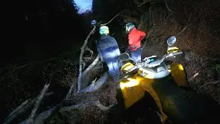 5 ❌ Can-Am' s ❌ Yamaha | The fallen tree blocks our way | First opinion on the PITBULL GROWLER 😱