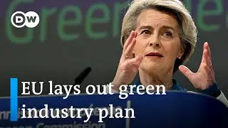 Funding the green transition: A global subsidy race? | DW News