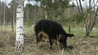 8 мая 2022 г.