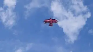 Парад воздушных змеев к 1000-ю  г.Бреста. Беларусь.