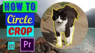 2 EASY WAYS TO MAKE CIRCLE CROP IN ADOBE PREMIERE PRO 2020