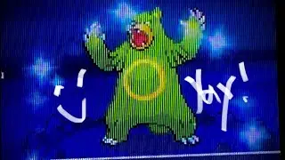 [LIVE] Shiny Ursaring in Heart Gold!!!