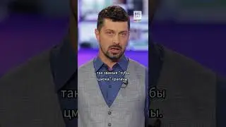 Латвия обороняется от Беларуси "зубами дракона" #shorts