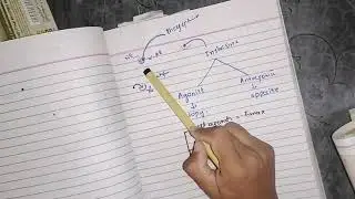 Agonist and Antagonist, Intrinsic properties of Drug 