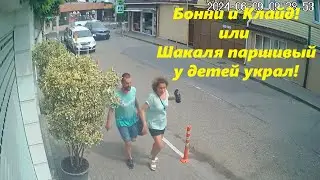 Воруют! Бонни и Клайд или шакал я паршивый у детей украл! Лазаревское 09.06.2024🌴ЛАЗАРЕВСКОЕ СЕГОДНЯ