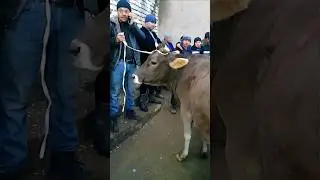 33млн га бермаяпти. Китоб мол бозори. LIKE👍 