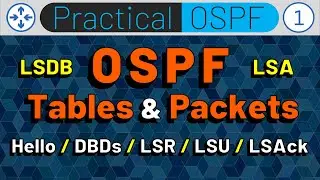 OSPF Framework & OSPF Packets:  LSDB, LSA, Hello, DBD, LSR, LSU, LSAck