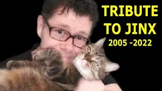 TRIBUTE TO JINX - MEMORIES THROUGHOUT THE YEARS (PHOTOS AND VIDEOS)