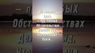 Мой вам совет: при любых обстоятельствах