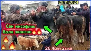 КАШКАДАРЁ ВИЛОЯТИ, КИТОБ ТУМАНИ МОЛ БОЗОРИДА НАРХЛАРНИ КУРИНГ. ВИДЕОНИ КУРИНГ 