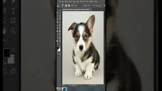 Clone source | Adobe Photoshop | 