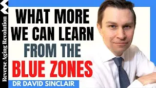 What More We Can Learn From The BLUE ZONES | Dr David Sinclair Interview Clips