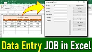 how to do data entry job in MS excel | data entry job using form in excel | data entry work