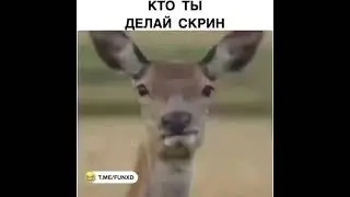 Кто ты