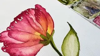 Watercolor translucent painting for beginners. Simple and quick little flower, YOU CAN do this