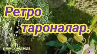 канча гузал булмасин хаёт,сен узингни асрагин инсон...