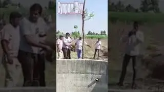 Люди Спасли Маленького Леопарда